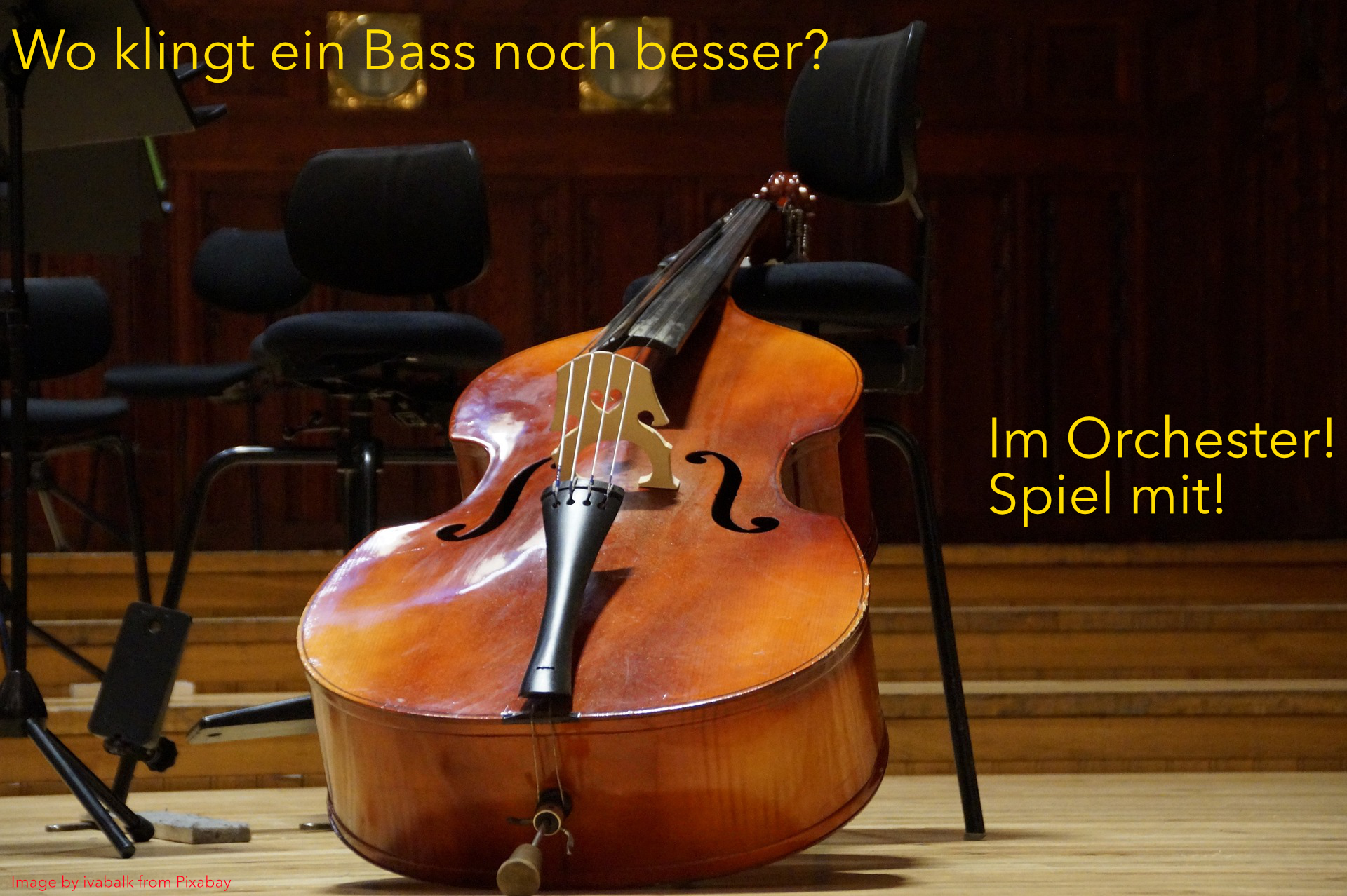 doublebass